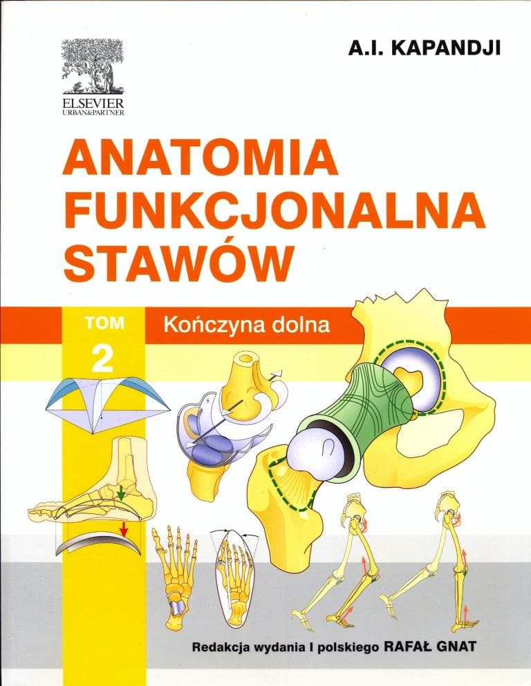 Kapandji, Adalbert I., Rafał Gnat, and Thierry Judet. Anatomia funkcjonalna. Wrocław: Elsevier Urban & Partner, 2014.