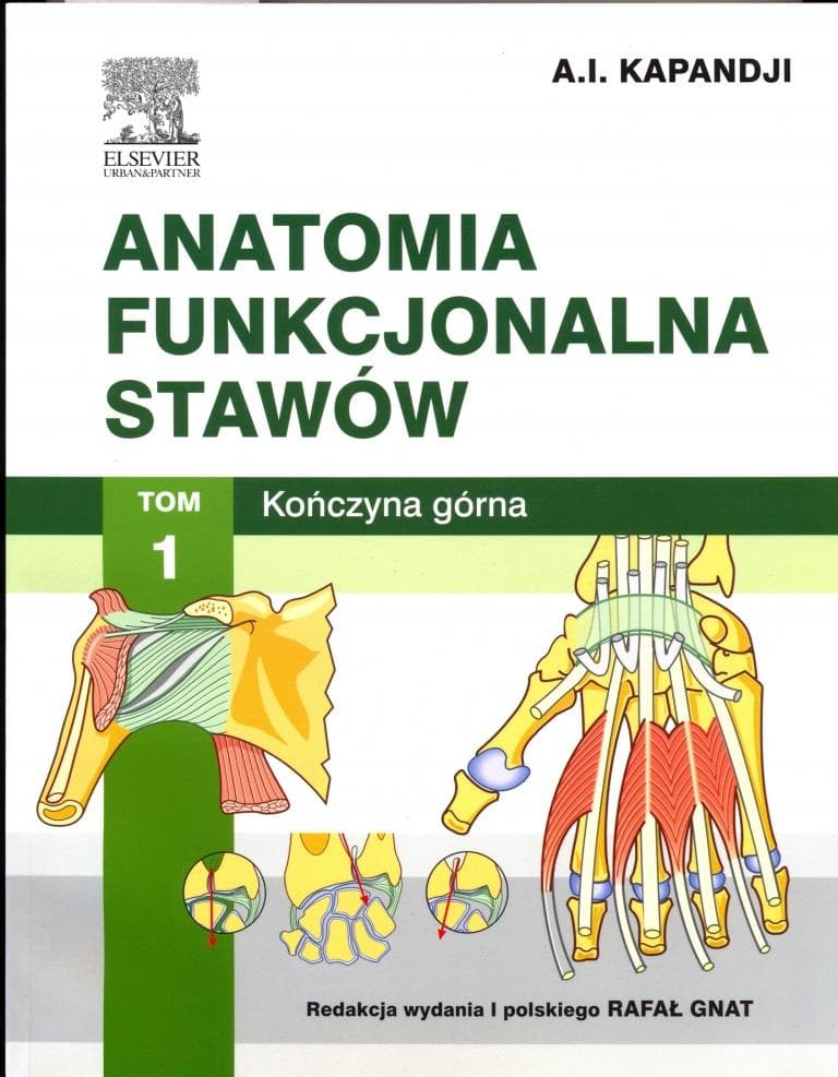 Kapandji, Adalbert I., Raoul Tubiana, and Rafał Gnat. Anatomia funkcjonalna. Wrocław: Elsevier Urban & Partner, 2014.