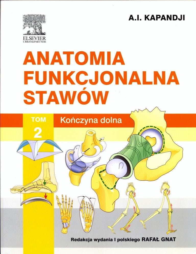 Kapandji, Adalbert I., Rafał Gnat, and Thierry Judet. Anatomia funkcjonalna. Wrocław: Elsevier Urban & Partner, 2014.